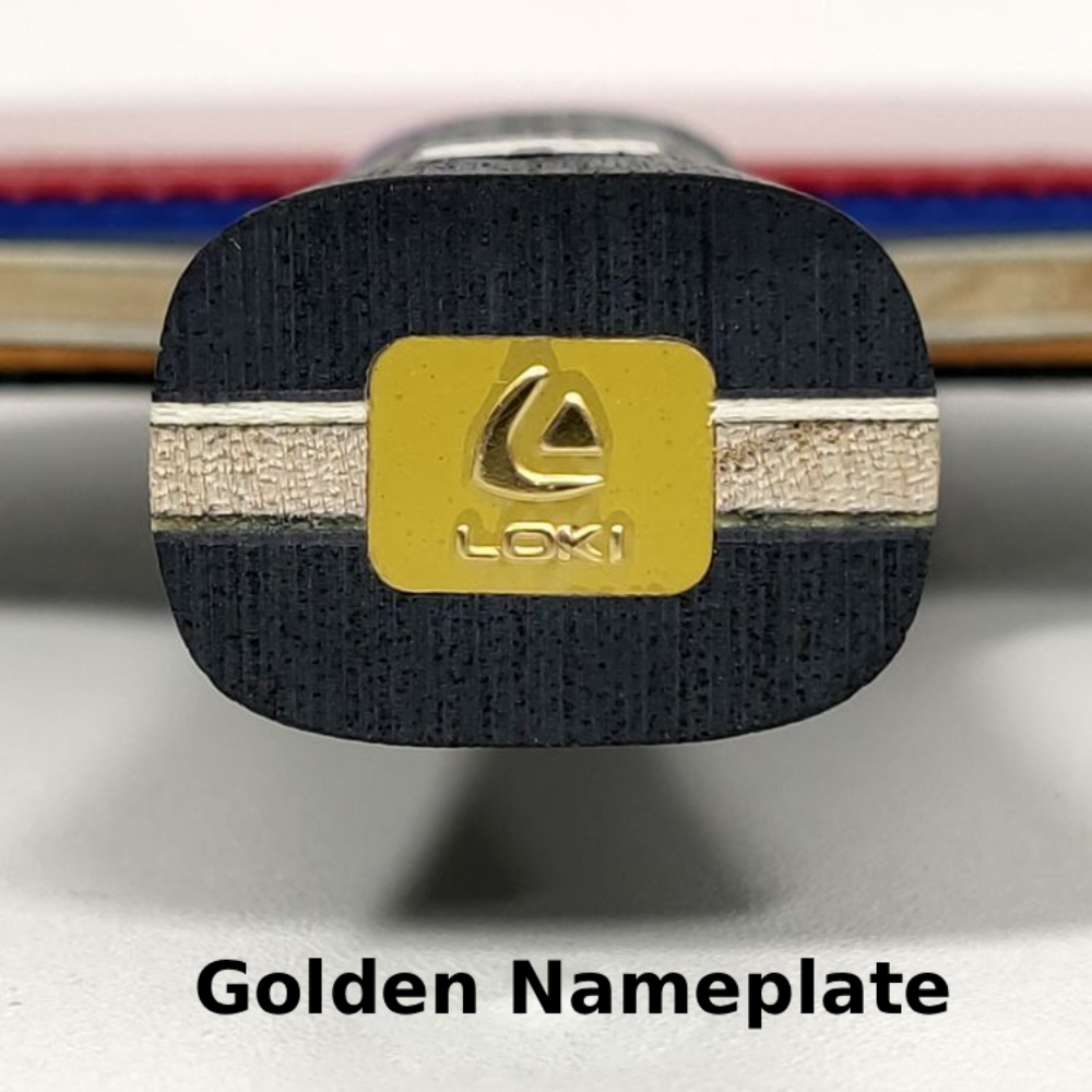 Raqueta de Tenis de Mesa Origi - Table Tennis Zhang Jike reseña y precio